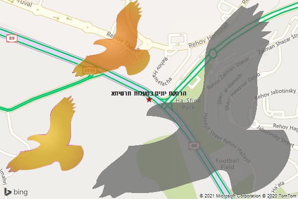 הרחקת יונים במעלות תרשיחא