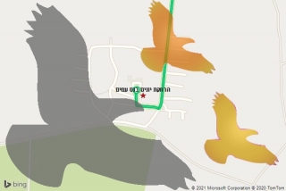 מרחיק יונים בנס עמים - הרחקת יונים בנס עמים
