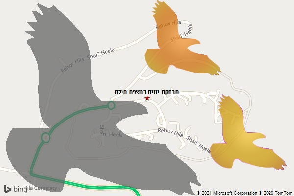 הרחקת יונים במצפה הילה