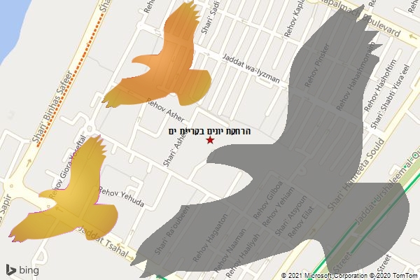 הרחקת יונים בקריית ים