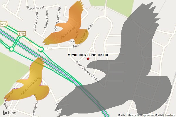 הרחקת יונים בגבעת שפירא