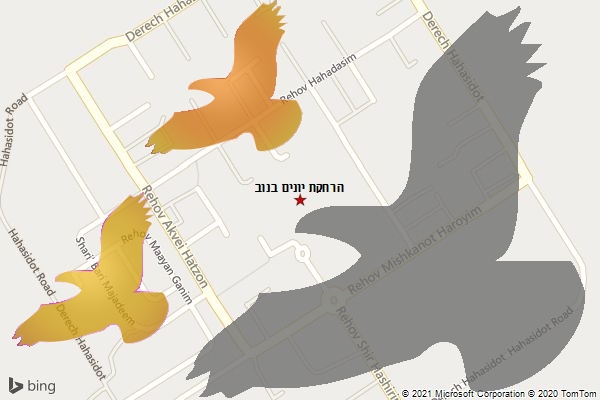 הרחקת יונים בנוב