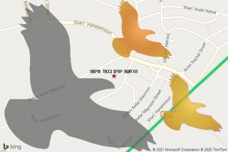מרחיק יונים בכפר מימון - הרחקת יונים בכפר מימון