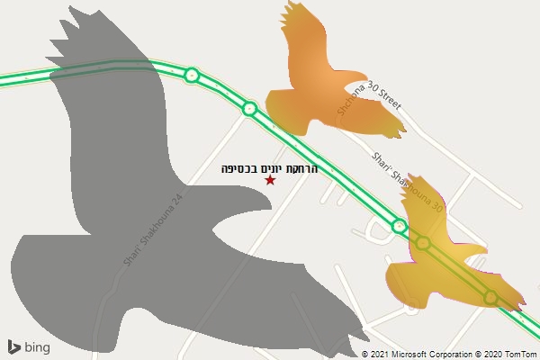 הרחקת יונים בכסיפה