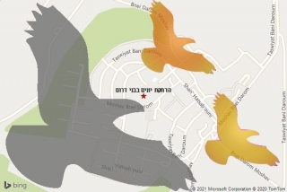 מרחיק יונים בבני דרום - הרחקת יונים בבני דרום