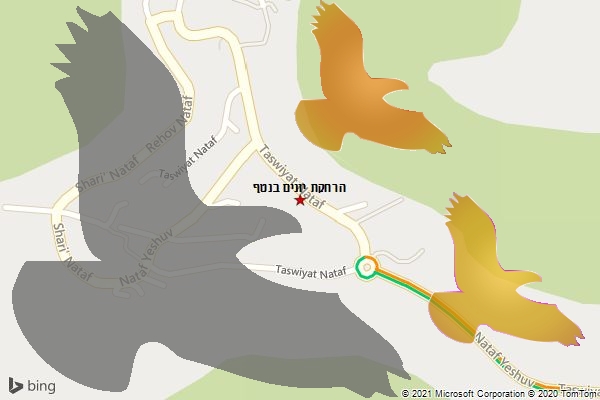 הרחקת יונים בנטף