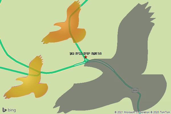הרחקת יונים בבית גאן