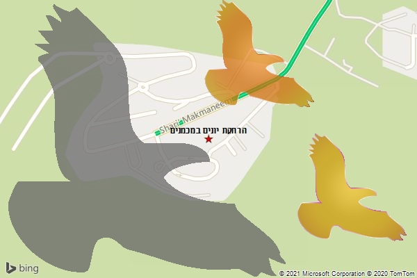 הרחקת יונים במכמנים
