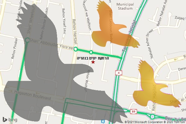 הרחקת יונים בנהריה