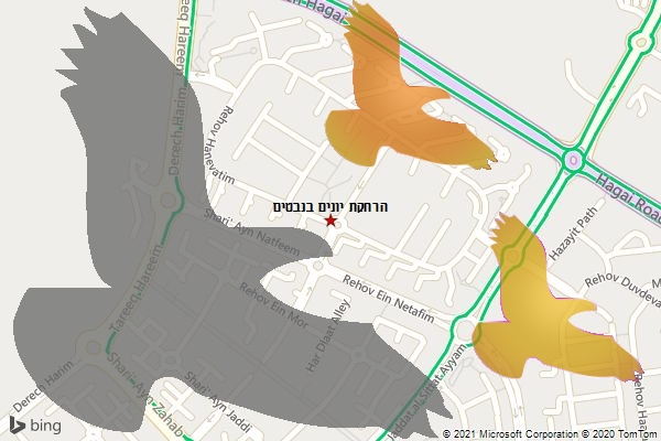 הרחקת יונים בנבטים