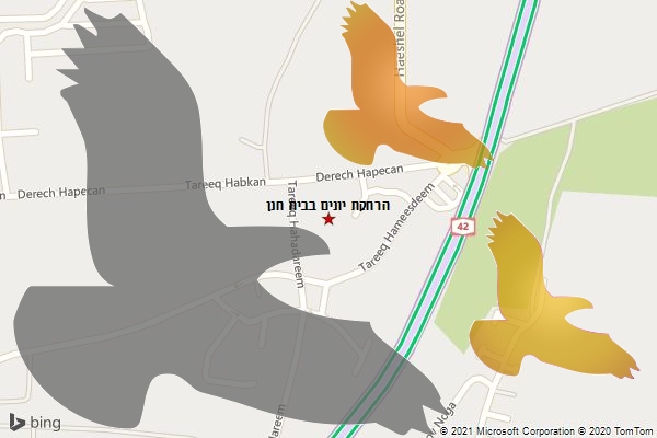 הרחקת יונים בבית חנן