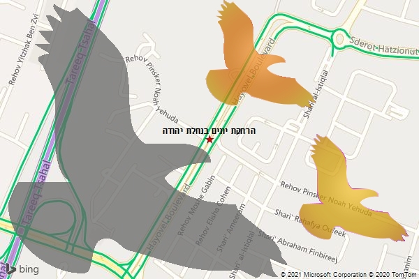 הרחקת יונים בנחלת יהודה