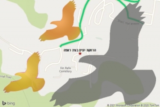 מרחיק יונים בעין ראפה - הרחקת יונים בעין ראפה