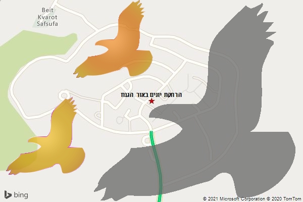 הרחקת יונים באור הגנוז