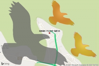 מרחיק יונים ביד השמונה - הרחקת יונים ביד השמונה