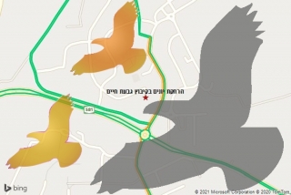 מרחיק יונים בקיבוץ גבעת חיים - הרחקת יונים בקיבוץ גבעת חיים