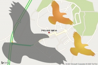  באייל - הרחקת יונים באייל