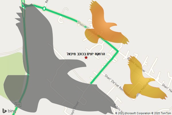 הרחקת יונים בכוכב מיכאל