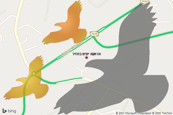 הרחקת יונים בזרזיר