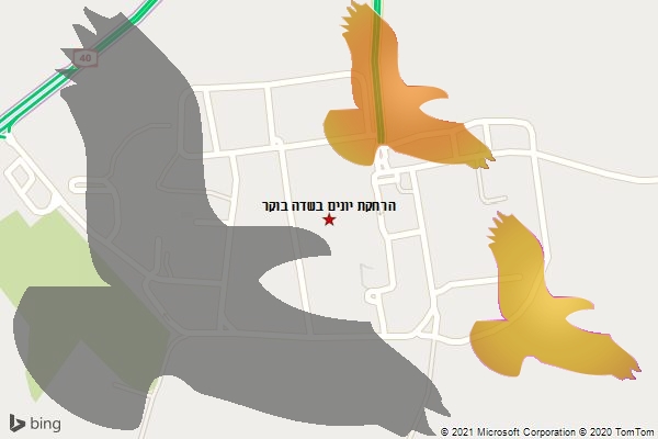 הרחקת יונים בשדה בוקר