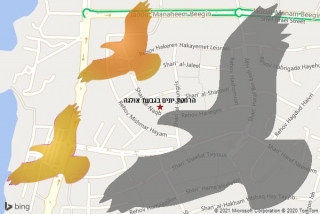 מרחיק יונים בגבעת אולגה - הרחקת יונים בגבעת אולגה