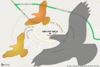 מרחיק יונים בשקד - הרחקת יונים בשקד