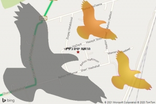 מרחיק יונים ביציץ - הרחקת יונים ביציץ