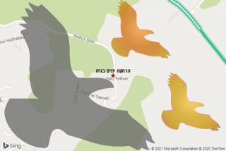 מרחיק יונים בגיזו - הרחקת יונים בגיזו