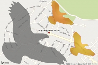 מרחיק יונים בנווה דקלים - הרחקת יונים בנווה דקלים