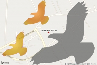 מרחיק יונים בהיוגב - הרחקת יונים בהיוגב