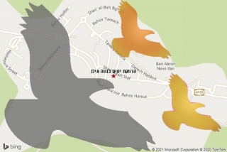 מרחיק יונים בנווה אילן - הרחקת יונים בנווה אילן