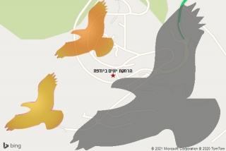 מרחיק יונים ביודפת - הרחקת יונים ביודפת
