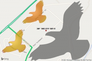 מרחיק יונים בשאר ישוב - הרחקת יונים בשאר ישוב
