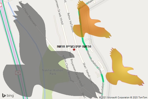 הרחקת יונים בקריית חרושת