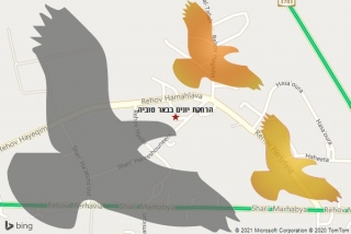 מרחיק יונים בבאר טוביה - הרחקת יונים בבאר טוביה