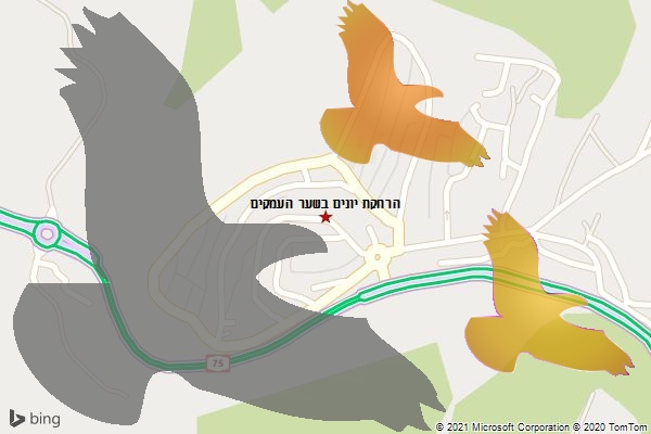 הרחקת יונים בשער העמקים