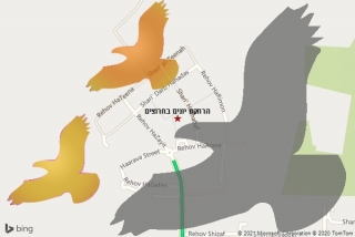 מרחיק יונים בחרוצים - הרחקת יונים בחרוצים