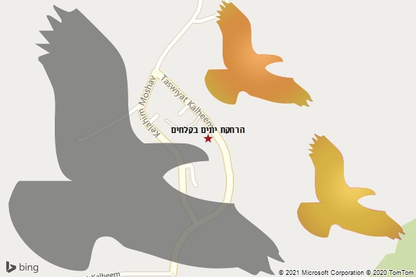 הרחקת יונים בקלחים