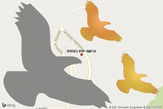 מרחיק יונים בקלחים - הרחקת יונים בקלחים
