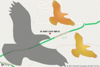 מרחיק יונים ביאנוח גת - הרחקת יונים ביאנוח גת