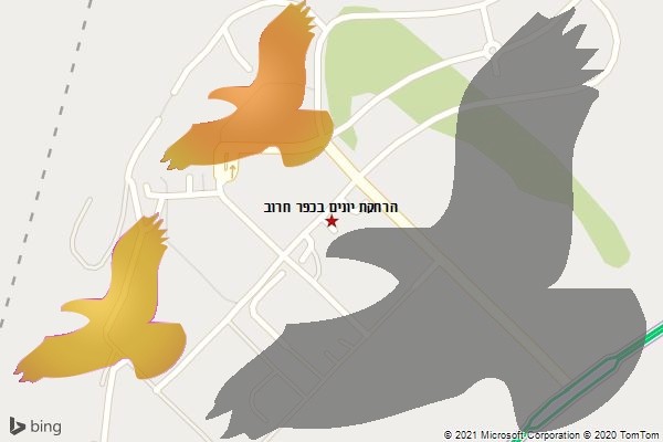 הרחקת יונים בכפר חרוב