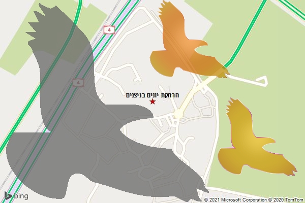 הרחקת יונים בניצנים