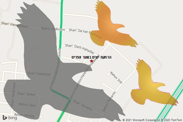 הרחקת יונים בשער אפרים