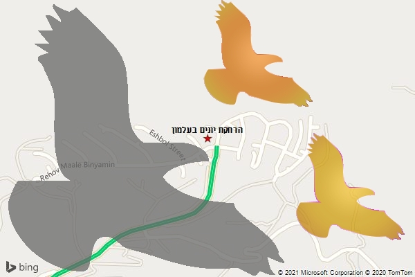 הרחקת יונים בעלמון