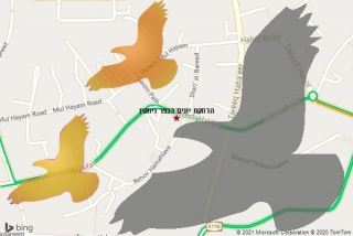 מרחיק יונים בכפר ויתקין - הרחקת יונים בכפר ויתקין