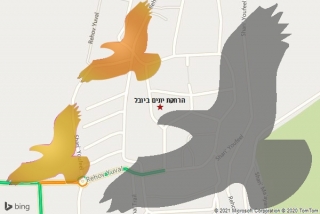 מרחיק יונים ביובל - הרחקת יונים ביובל