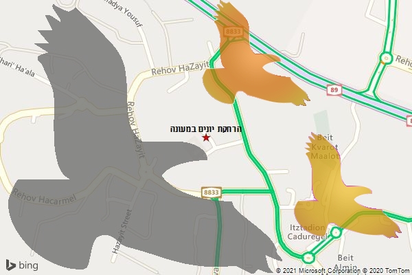 הרחקת יונים במעונה