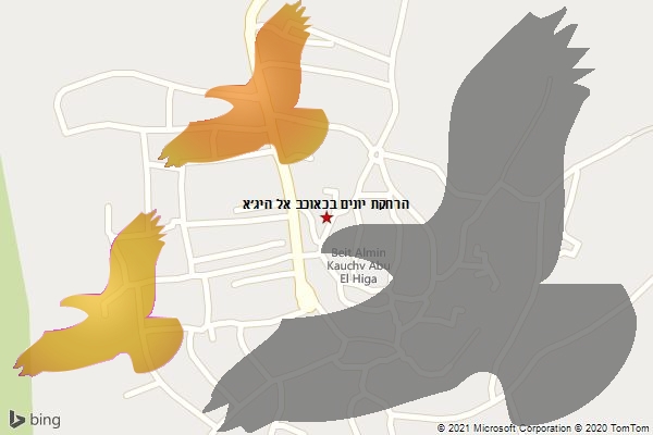 הרחקת יונים בכאוכב אל היג׳א