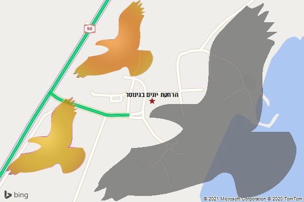 הרחקת יונים בגינוסר