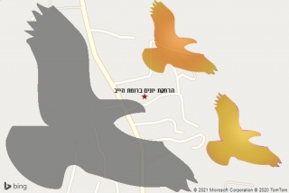 מרחיק יונים ברומת הייב - הרחקת יונים ברומת הייב